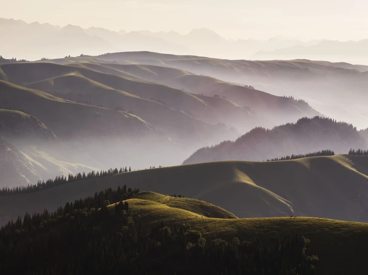 a herd of cattle grazing on top of a lush green hillside, a matte painting, by Matthias Weischer, shutterstock, fog golden hour, layers of strata, idaho, sparse mountains on the horizon