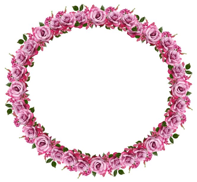 a wreath of pink roses on a black background, a digital rendering, shutterstock, round background, in one frame, high res, inner ring