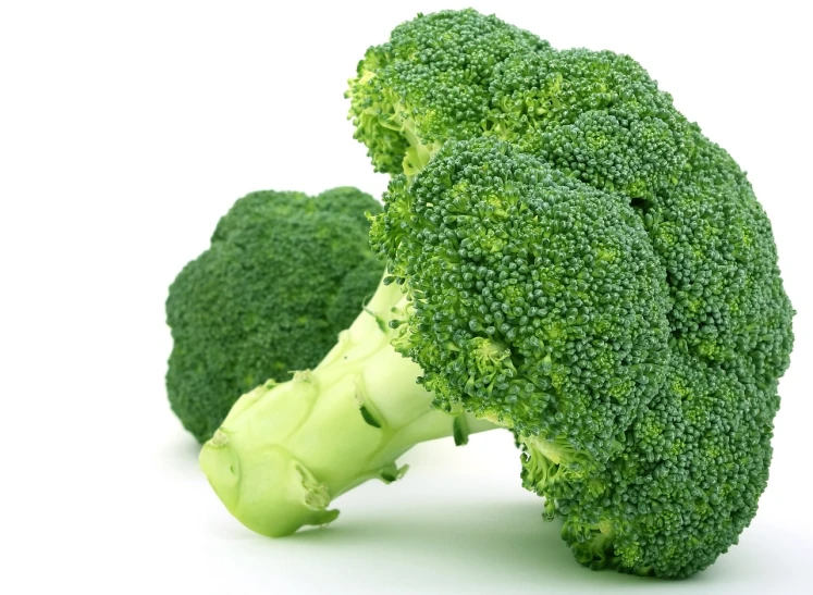 two pieces of broccoli on a white surface, a picture, by Kiyoshi Yamashita, renaissance, istockphoto, muscular! green, crisp focus, photo-realistic