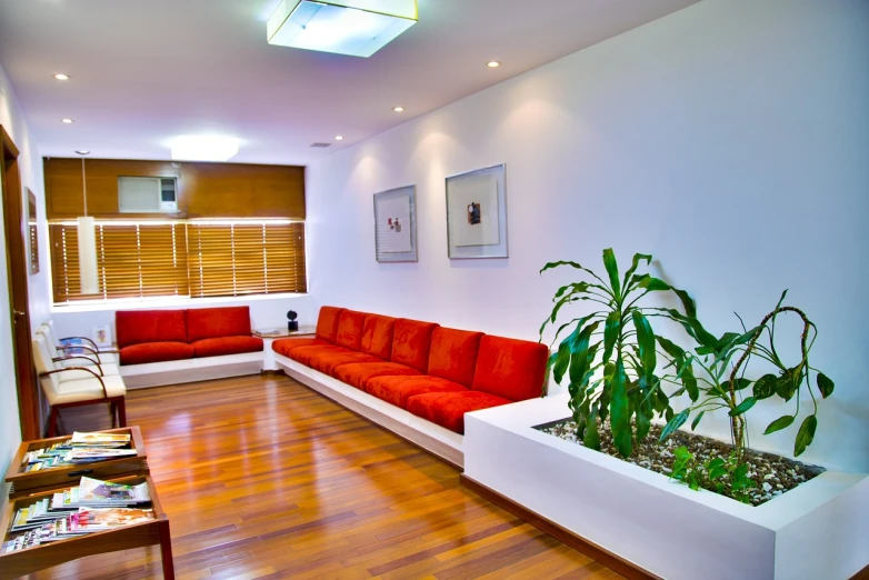 a living room filled with furniture and a plant, by senior artist, minimalism, red and white color theme, hospital lighting, hardwood floor boards, sunken recessed indented spots
