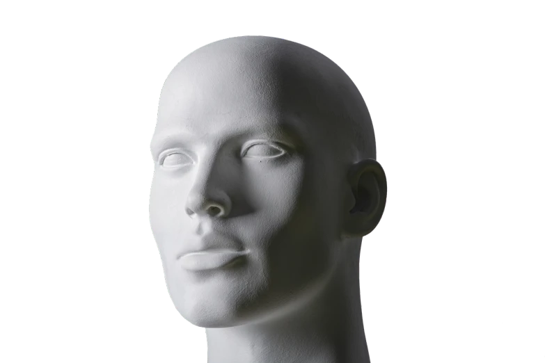 a white mannequin head on a black background, by Julian Allen, sharp high detail face, stylized portrait h 704, foam, portrait no. 1