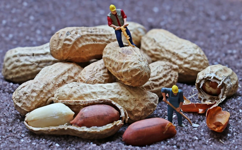 a couple of people standing on top of a pile of peanuts, by Wayne England, trending on pixabay, photorealism, under construction, miniature resine figure, peter dutton as a potato, humans exploring