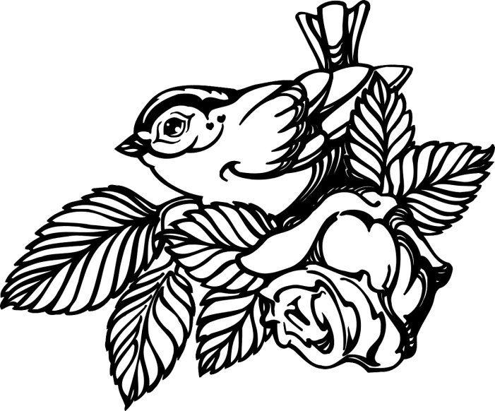 a black and white drawing of a bird on a branch, lineart, pixabay, decorative roses, thick thick thick outlines, flat colour, very high angle view