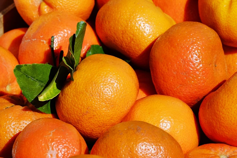 a close up of a bunch of oranges with leaves, a picture, by Dietmar Damerau, trending on pixabay, 🦩🪐🐞👩🏻🦳, avatar image, new mexico, detailed zoom photo