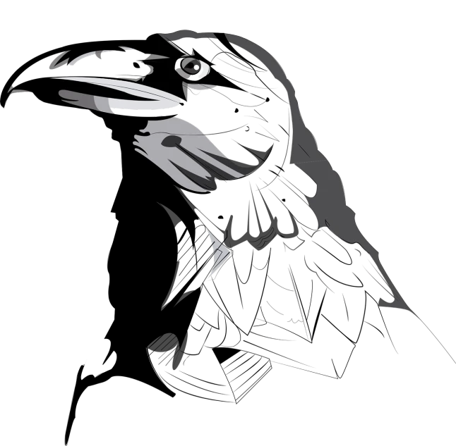 a black and white drawing of a bird, vector art, inspired by Gonzalo Endara Crow, phone background, dark photo, pinguin, high contrast illustration