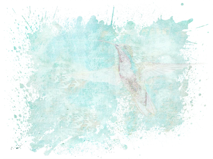 a painting of a hummingbird flying through the air, a digital rendering, inspired by Howardena Pindell, arabesque, empty space background, textured turquoise background, frame, tattered fabric