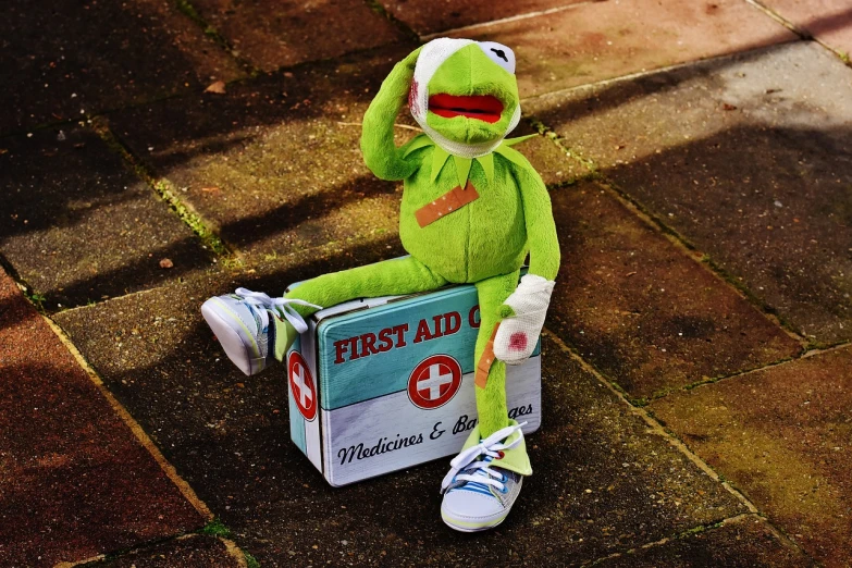 a stuffed animal sitting on top of a box, a picture, pixabay, happening, first aid kit, portrait of kermit the frog, sitting on the ground, high res photo