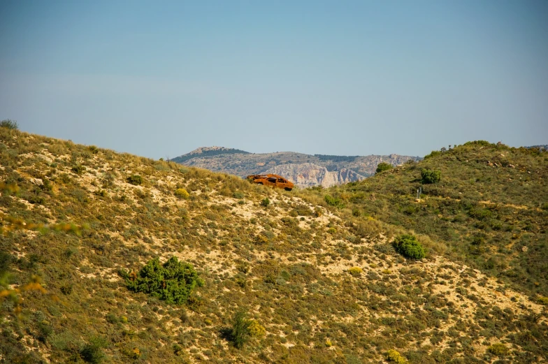 a brown horse standing on top of a lush green hillside, a tilt shift photo, costa blanca, red sandstone natural sculptures, wide shot photo, viewed from very far away