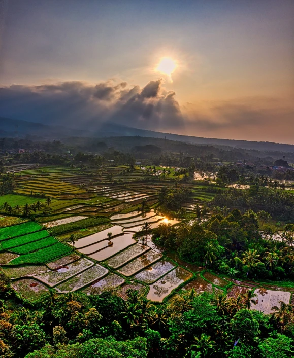 the sun is setting over a rice field, by Abidin Dino, sumatraism, terraced orchards and ponds, inspiring birds eye vista view, bursting with holy light, by joseph binder