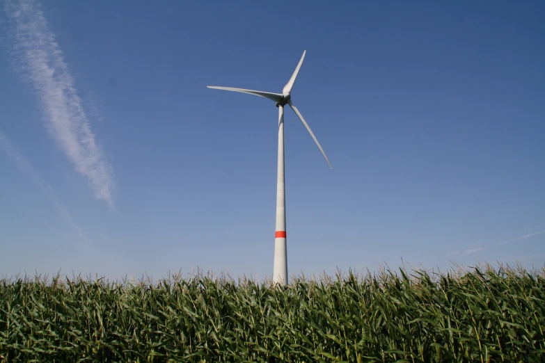 a wind turbine in the middle of a corn field, a picture, by Jürg Kreienbühl, flickr, maintenance photo, coal, modern very sharp photo, stock photo