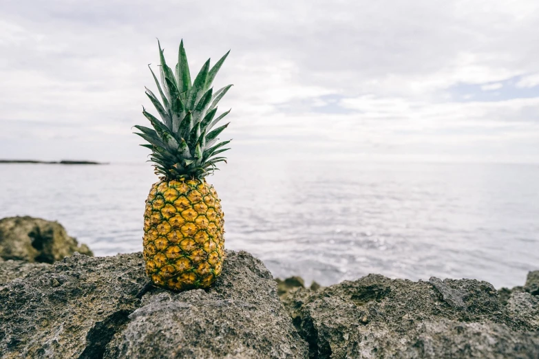 a pineapple sitting on top of a rock near the ocean, by Adam Marczyński, unsplash, 🦩🪐🐞👩🏻🦳, sentient fruit, on a cloudy day, in style of ultra realistic