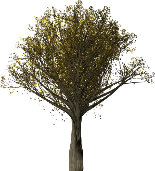 a tree with yellow leaves on a black background, a raytraced image, inspired by Edgar Schofield Baum, polycount, volumetric light from above, shades of gold display naturally, particle simulation, trees and flowers