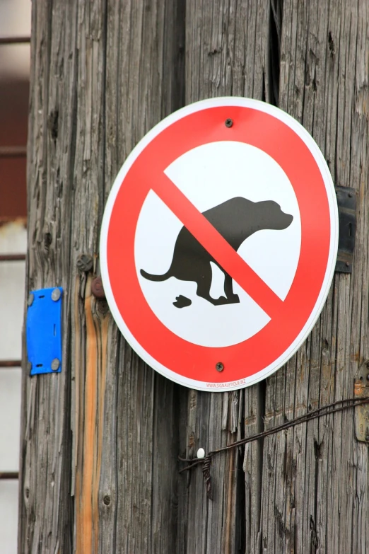 a red and white sign on a wooden pole, a cartoon, by Alfons von Czibulka, shutterstock, plasticien, a dog, platypus, no less, poop
