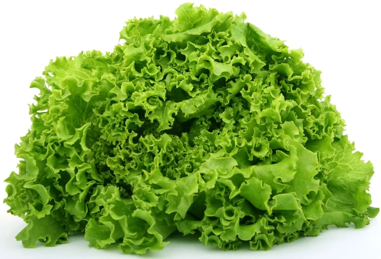 a pile of lettuce on a white surface, a picture, by John Luke, h 7 6 8, green sea, qiangshu, green world