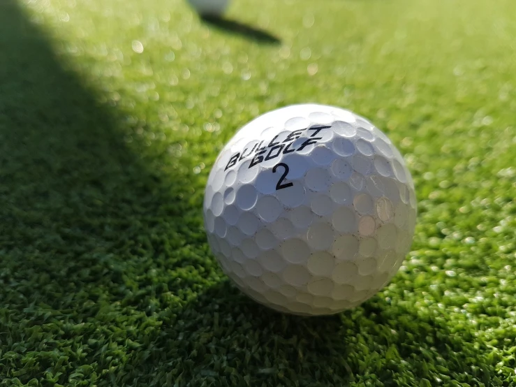 a golf ball sitting on top of a lush green field, a picture, by Robert Zünd, unsplash, photorealism, white muzzle and underside, indoor shot, zac retz, shaded