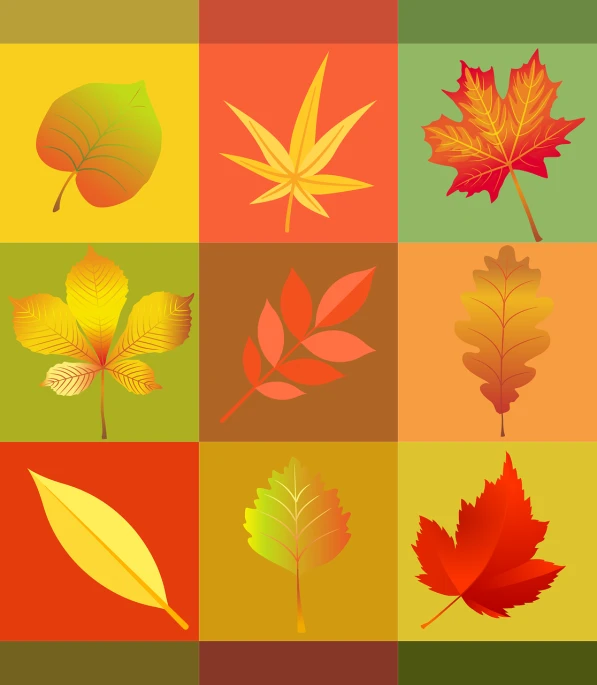 a variety of autumn leaves on a multicolored background, vector art, grid of styles, high quality], 4k high res, icon