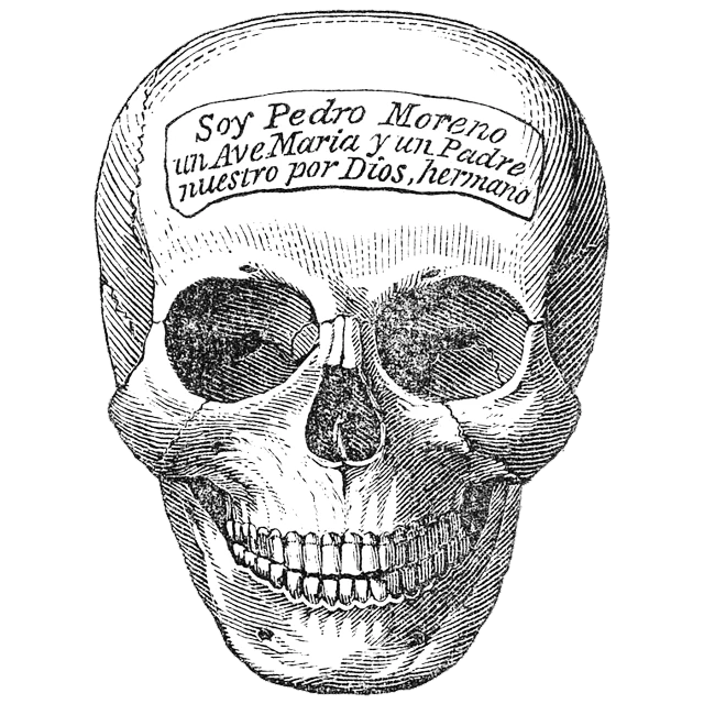 a black and white drawing of a skull, an engraving, inspired by Santiago Martínez Delgado, old magazine cover without text, of a old 18th century, very detailed labeling, funny