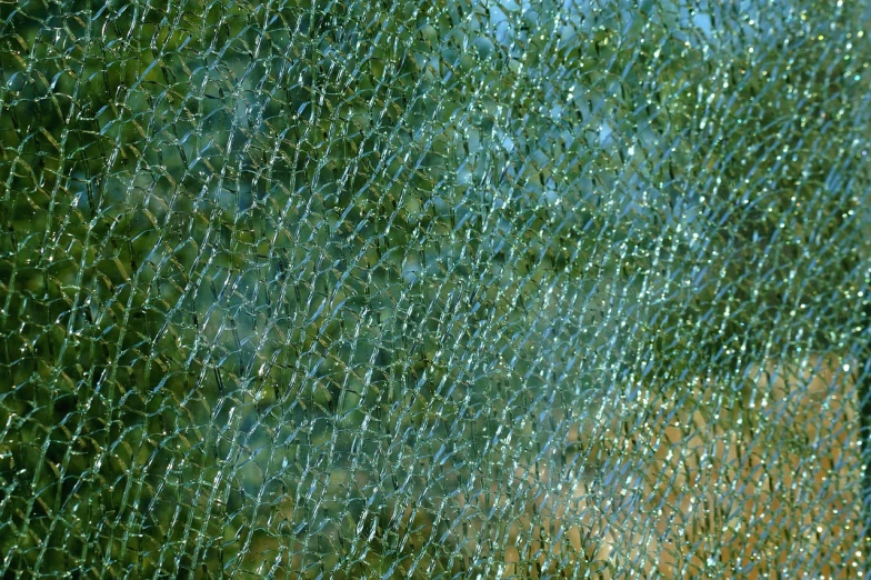 a close up of a broken glass window with trees in the background, net art, lizard skin, constant green background, subtle wear - and - tear, some chaotic sparkles
