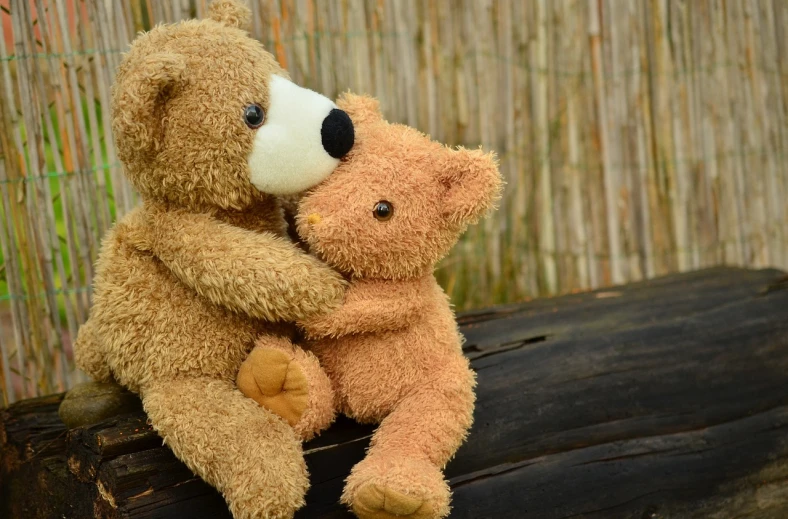 a couple of teddy bears sitting next to each other, a picture, by Maksimilijan Vanka, pixabay, two men hugging, backdrop, highly detailded, wooden