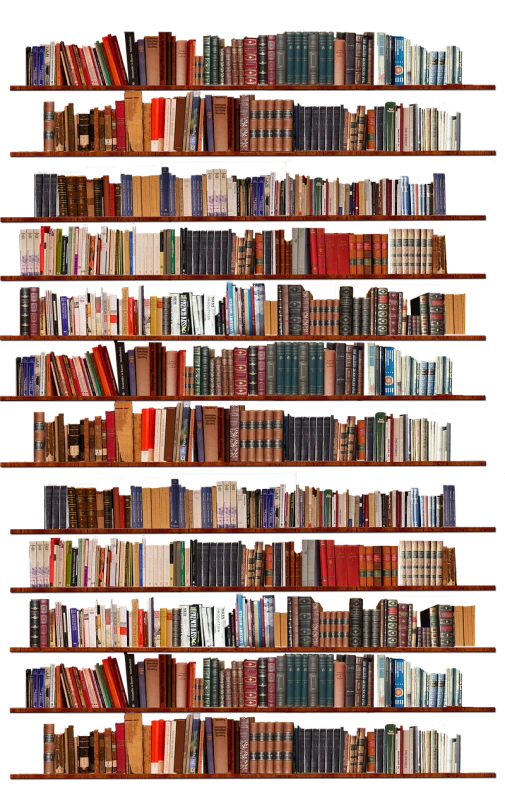 a book shelf filled with lots of books, by Dietmar Damerau, shutterstock, renaissance, fred tomaselli, !!highly detailed!!, stereogram, encyclopedia illustration