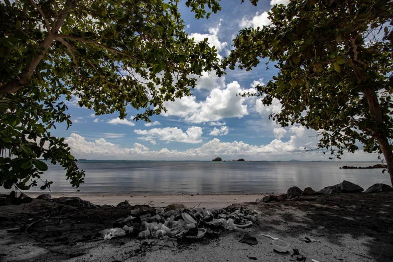 a group of rocks sitting on top of a sandy beach, by Niklaus Manuel, trees. wide view, mangrove trees, distant clouds, sitting under a tree