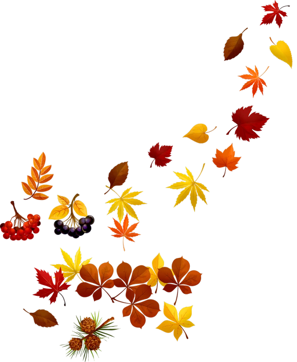 autumn leaves blowing in the wind on a black background, a digital painting, hurufiyya, made in adobe illustrator, masami suda, took on ipad, above view