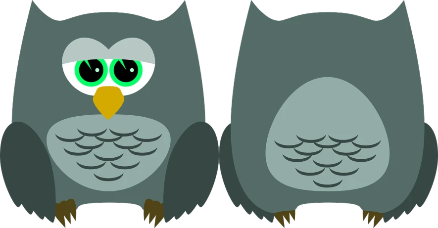 two owls with green eyes sitting next to each other, vector art, by Ludovit Fulla, trending on pixabay, fat chibi grey cat, complete body view, at nighttime, which splits in half into wings