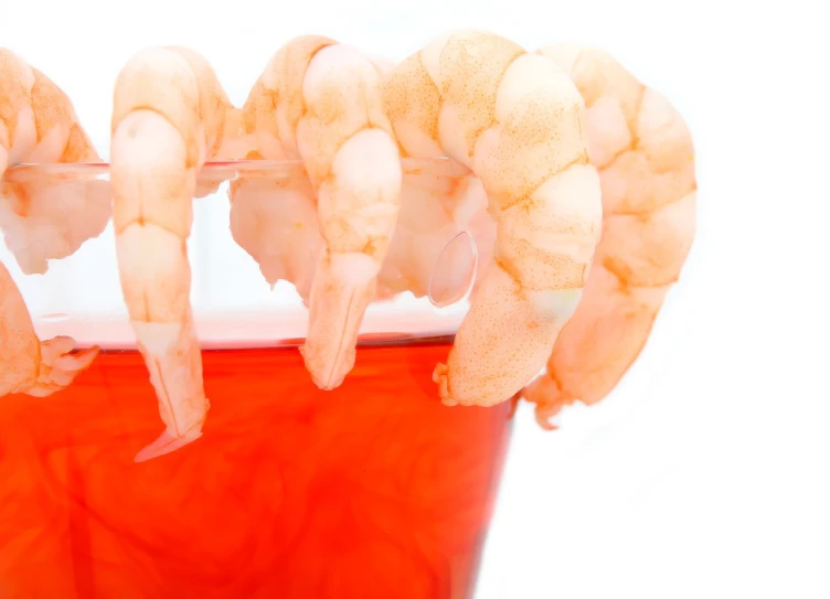 a glass filled with shrimp sitting on top of a table, a photo, by Adam Marczyński, shutterstock, red scales, isolated on whites, high res photo, weird and disturbing