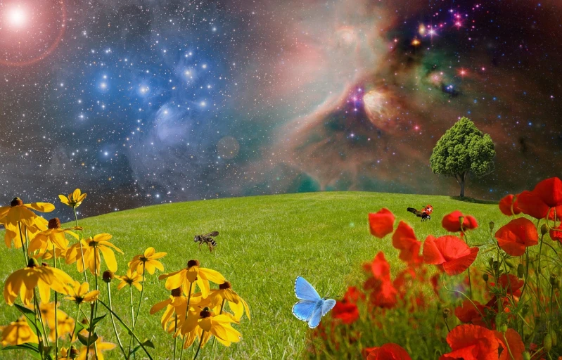 a picture of a field with flowers and a butterfly, digital art, inspired by Frederic Church, surrealism, galaxies and stars in background, field with grass and flowers, alien plants and animals, galaxies in background