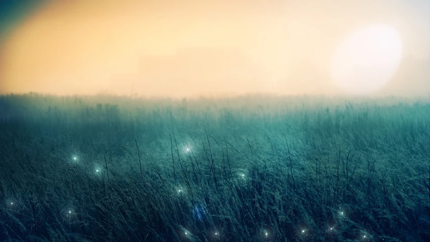 the sun is setting over a field of tall grass, digital art, inspired by Elsa Bleda, flickr, some light fog and fireflies, fairy circles, multiple exposure, teal landscape