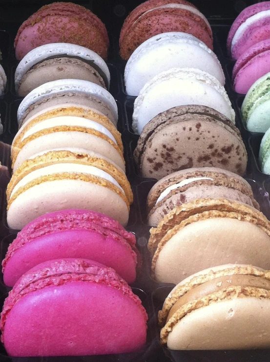 a tray filled with lots of different colored macarons, a photo, by Victoria Francés, rococo, market, luscious with sesame seeds, in a row, perspicious detail