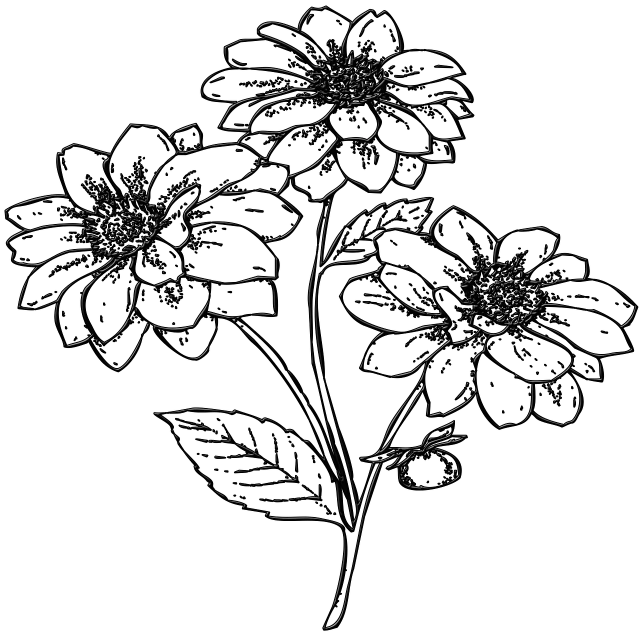 a drawing of a bunch of flowers on a black background, a raytraced image, inspired by Andrei Kolkoutine, generative art, ambient occlusion:3, etched relief, drawn in microsoft paint, dahlias