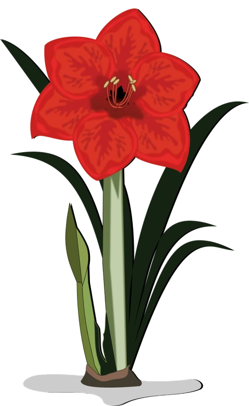 a red flower with green leaves on a black background, a digital painting, inspired by Katsushika Ōi, hurufiyya, hymenocallis coronaria, cell shaded adult animation, full image