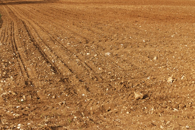 a plowed field with a blue sky in the background, a photo, israel, brown background, very sharp photo