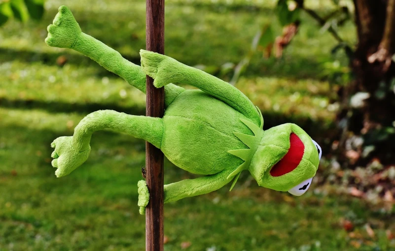 a close up of a stuffed animal on a pole, a picture, inspired by Pál Böhm, pexels, happening, kermit, in an action pose, stems, viewed from the ground