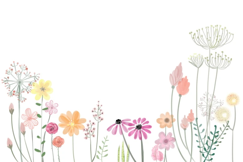 a group of colorful flowers on a white background, a digital rendering, by Florianne Becker, trending on pixabay, minimalism, meadow background, background image, hand - drawn animation, background is white and blank
