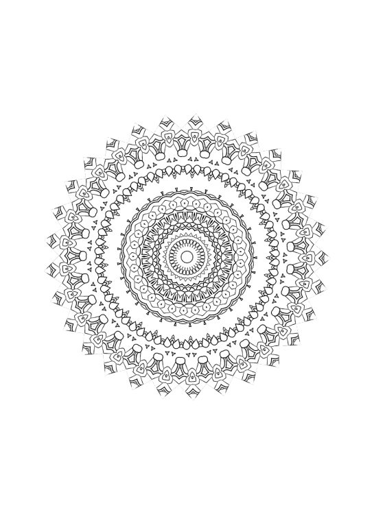 a black and white circular design on a black background, inspired by Benoit B. Mandelbrot, reddit, a beautiful buddhist mandala, white lace, 1 0 0 0 x 1 0 0 0 pixel art, with small object details