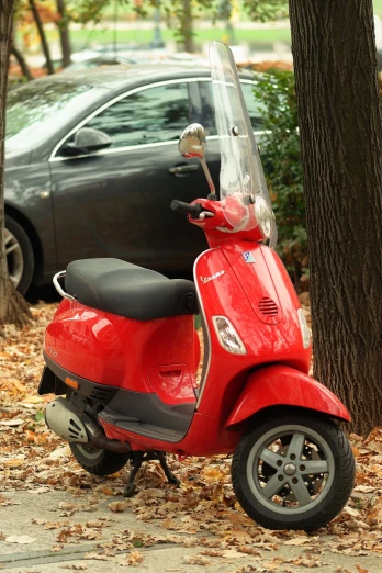 a red motor scooter parked next to a tree, in the autumn, davinci, flash photo