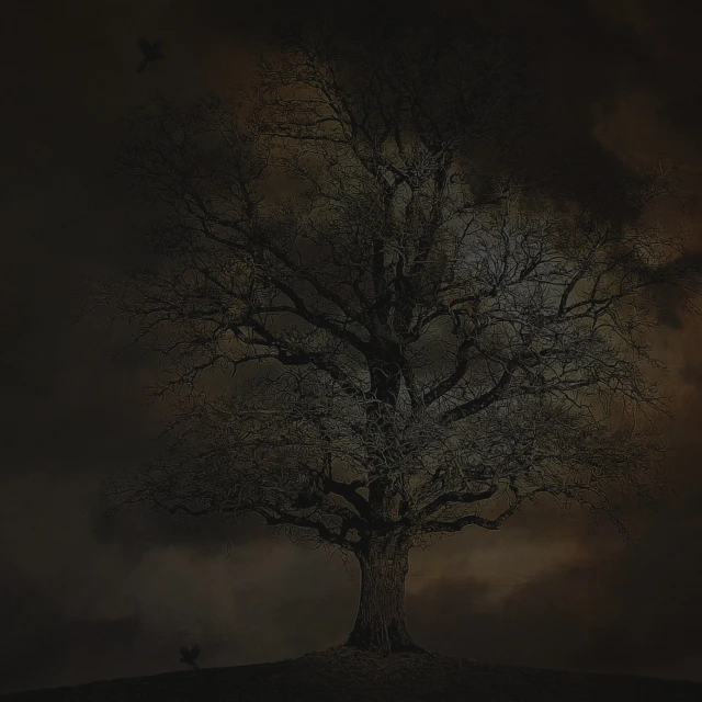 a tree sitting on top of a hill under a cloudy sky, digital art, pexels contest winner, digital art, liminal eerie midnight backlit, brown mist, crows on the oak tree, dark and grim lighting