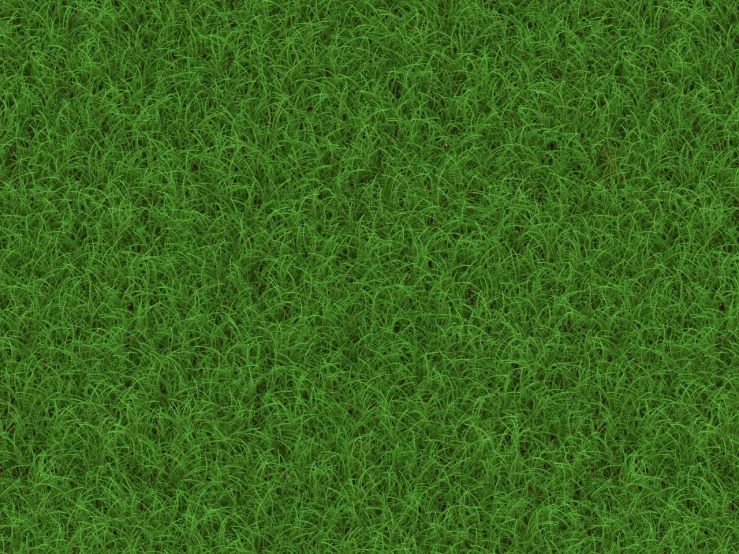 a close up of a green grass field, a digital rendering, trending on pixabay, volumetric wool felting, plastic texture, high quality screenshot