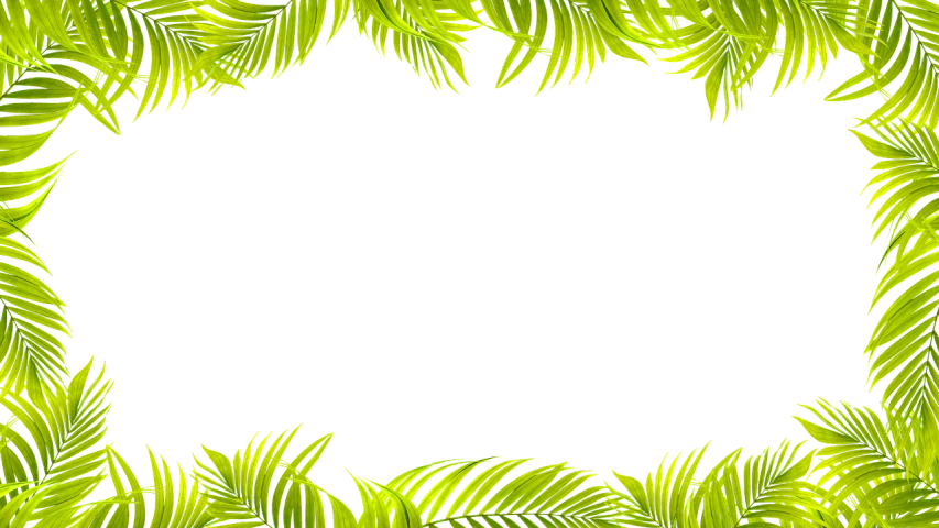 a frame made of green leaves on a black background, a screenshot, tropical palms, background image, black and yellow colors, holiday season