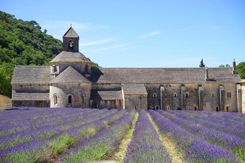 a church in the middle of a lavender field, renaissance, in a monestry natural lighting, colorful caparisons, with full descriptions, touring