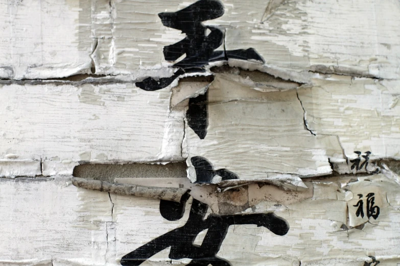 a close up of a sign on the side of a building, a photo, inspired by Wu Wei, graffiti, birch, high resolution texture, japaneese style, scratched photo