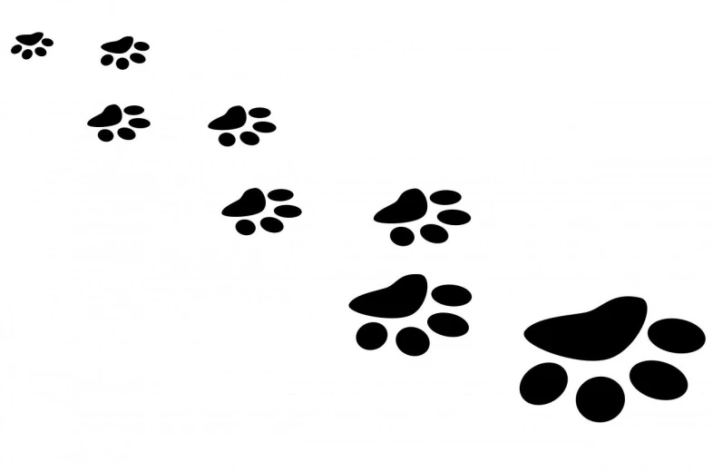 a black and white photo of a dog's paw prints, an illustration of, pixabay, digital art, small steps leading down, vector. 8 k, puma, wallpaper - 1 0 2 4