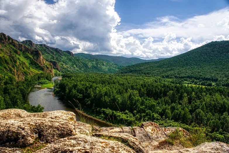 a river running through a lush green valley, a picture, by Svetlin Velinov, shutterstock, naturalism, highly detail wide angle photo, standing on the edge of a cliff, azamat khairov, trees. wide view