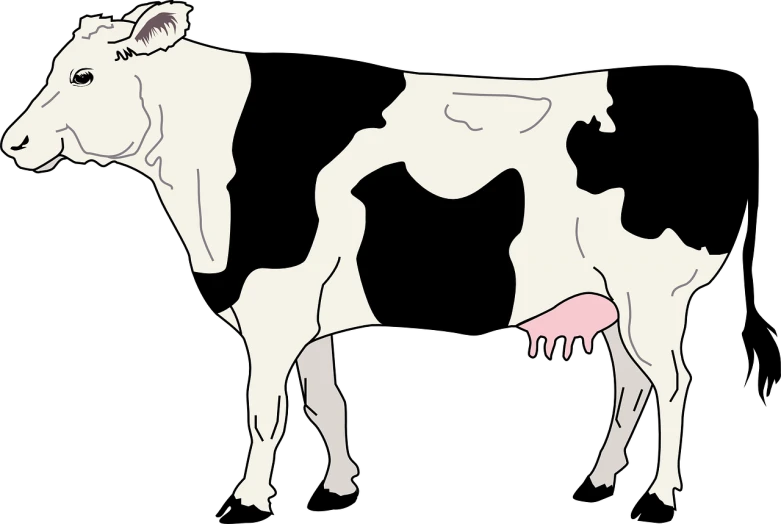 a couple of cows standing next to each other, an illustration of, by Joseph Henderson, pixabay, conceptual art, bonsai skeleton anatomy atlas, with a black background, long pointy pink nose, vector tracing