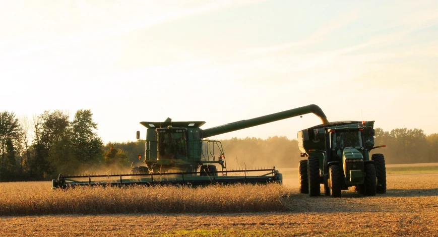 a tractor and a combine harvester in a field, a picture, by Caroline Mytinger, alabama, warm glow coming the ground, picking up a can beans, header