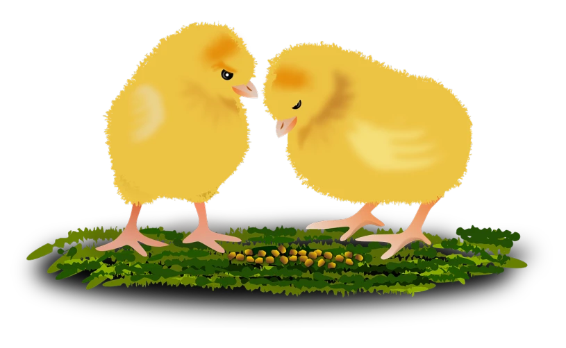 a couple of chickens standing on top of a lush green field, by Susan Heidi, digital art, on black background, hedgehog babies, bottom - view, full color illustration
