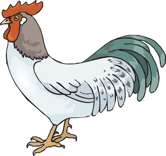 a close up of a rooster on a black background, an illustration of, cell shaded cartoon, high contrast illustration, including a long tail, spot illustration