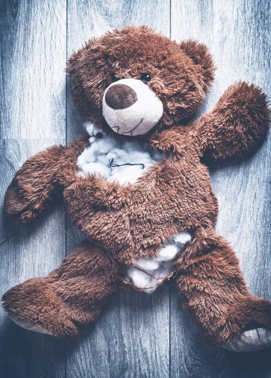 a brown teddy bear laying on top of a wooden floor, a stock photo, by Adam Marczyński, process art, broken hearts, cavities, the victim is in the center, plushie